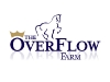 Overflow Logo